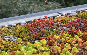 the cost of Brampton En Le Morthen green roof installation