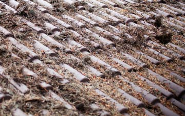 Brampton En Le Morthen roof cleaning companies